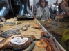 Snake exhibit for Indiana Jones